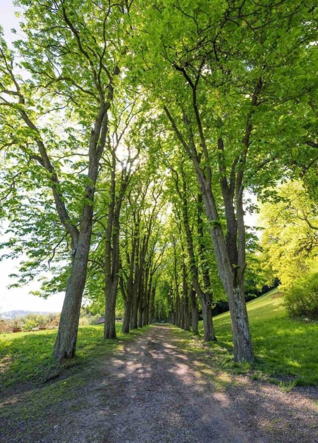 Urlaub In Schlossnaehe 阿特斯特坦 外观 照片